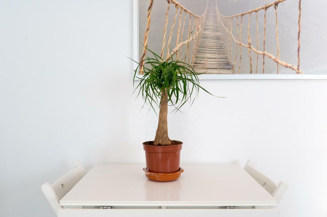 Ml1C-Prime Location Marble Apartment With Patios Málaga Exterior foto